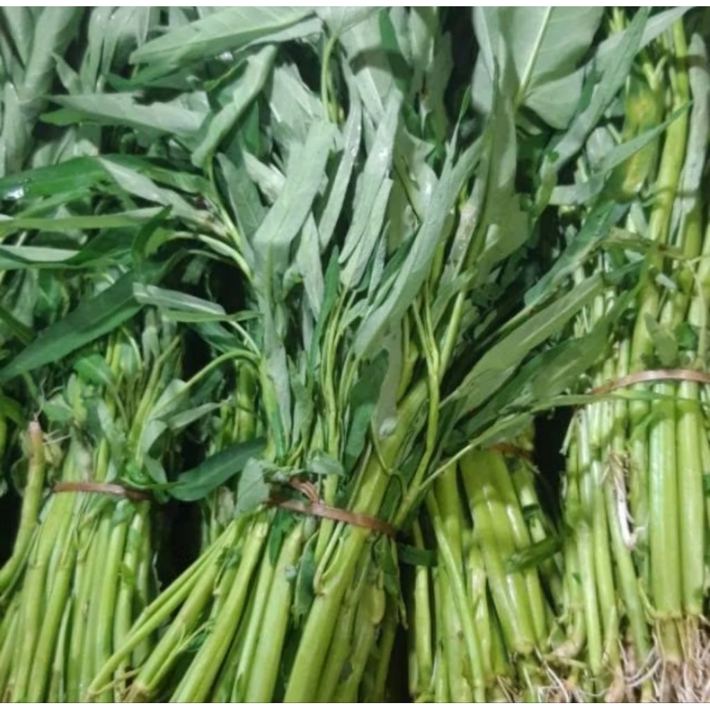 

kangkung / sayur kangkung per 1 ikat
