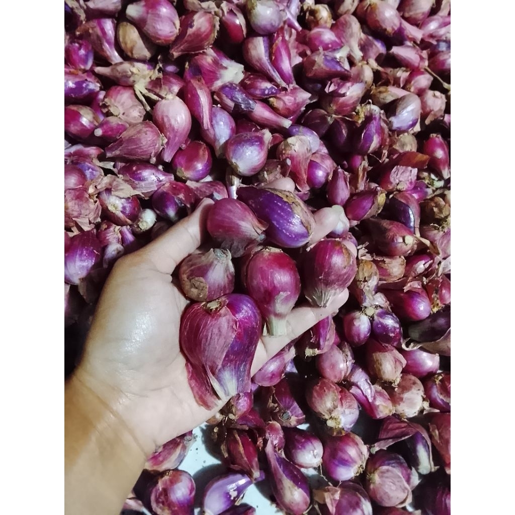 

Bawangmerahaslibrebes