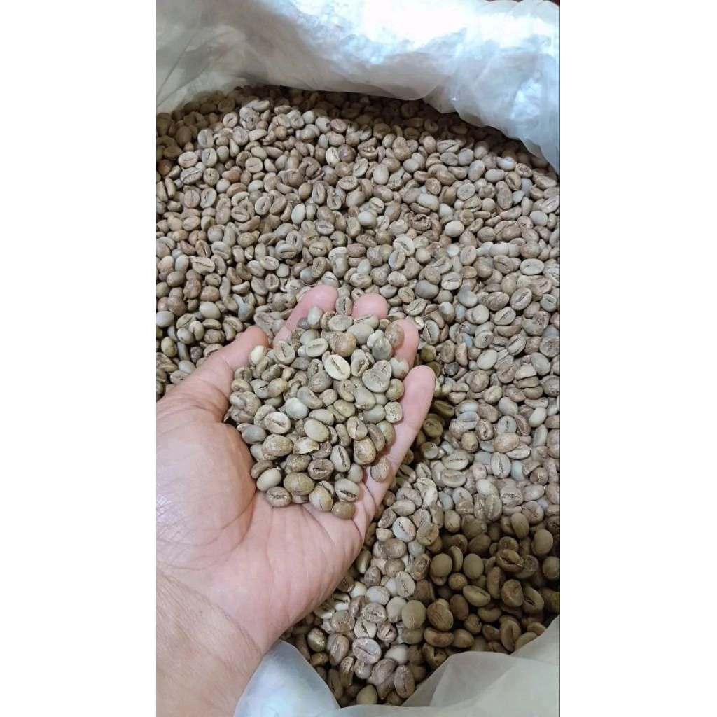 

GREEN BEANS ROBUSTA LAMPUNG 1000 GRAM