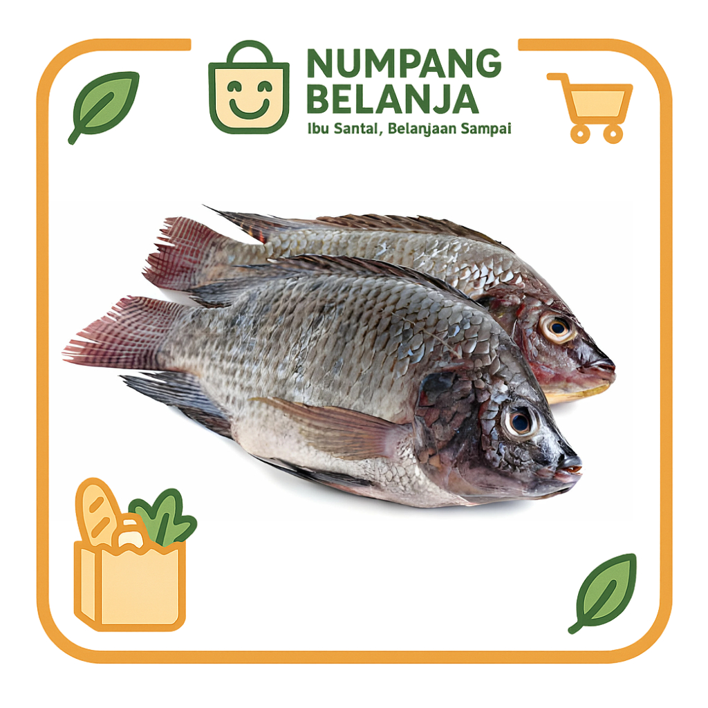 

ikan nila fresh [500g]