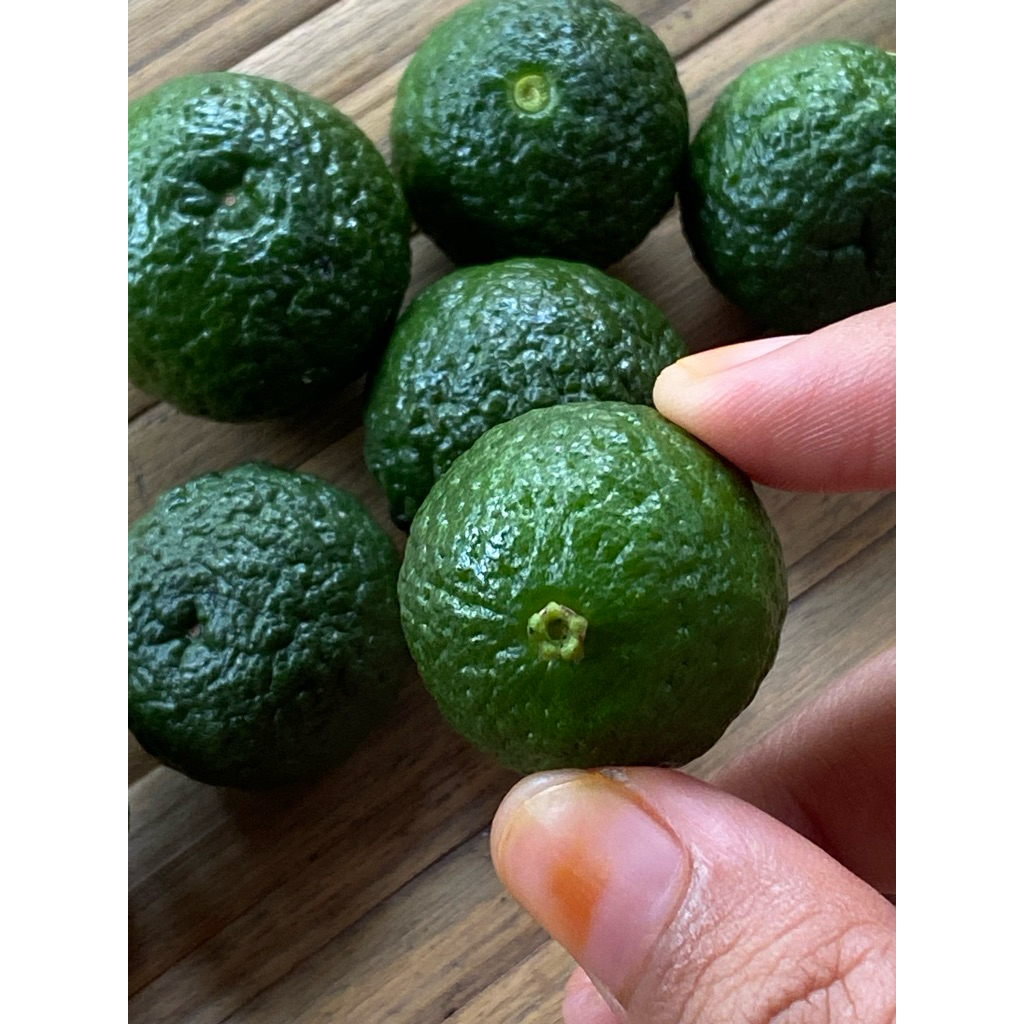 

1Kg jeruk limau/jeruk nipis/jeruk lemon asam segar