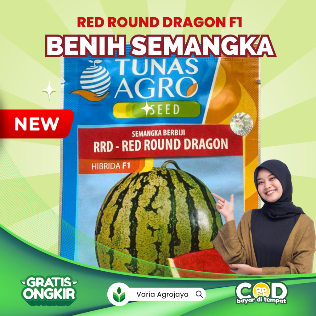 Benih Bibit Semangka Red Round Dragon F1 / RRD F1 - Tunas Agro
