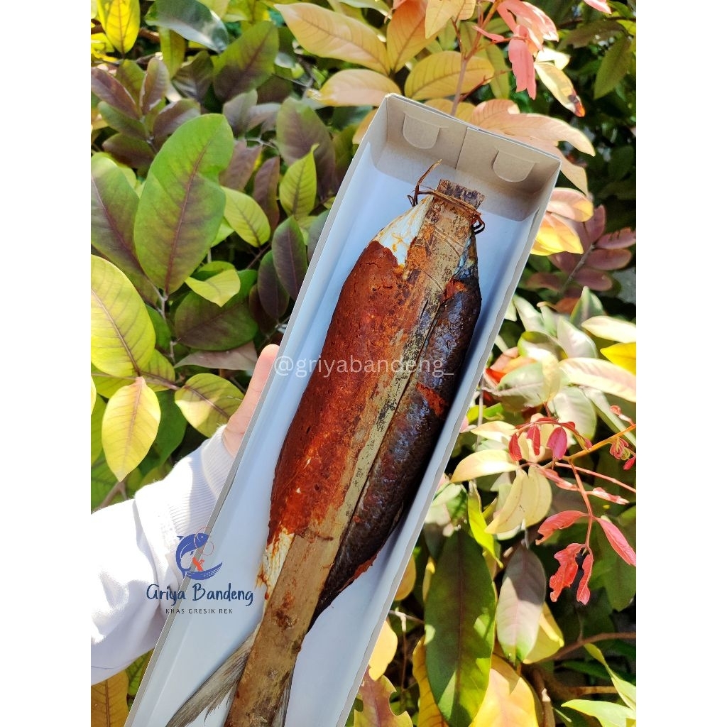 

Otak-otak Bandeng khas Gresik Griya Bandeng