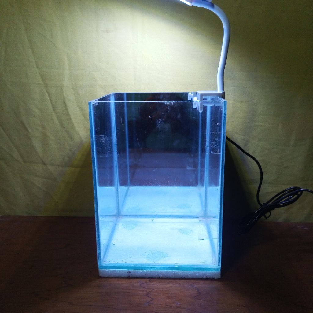 Aquarium selfie(20x12x15 & 15x15x20)