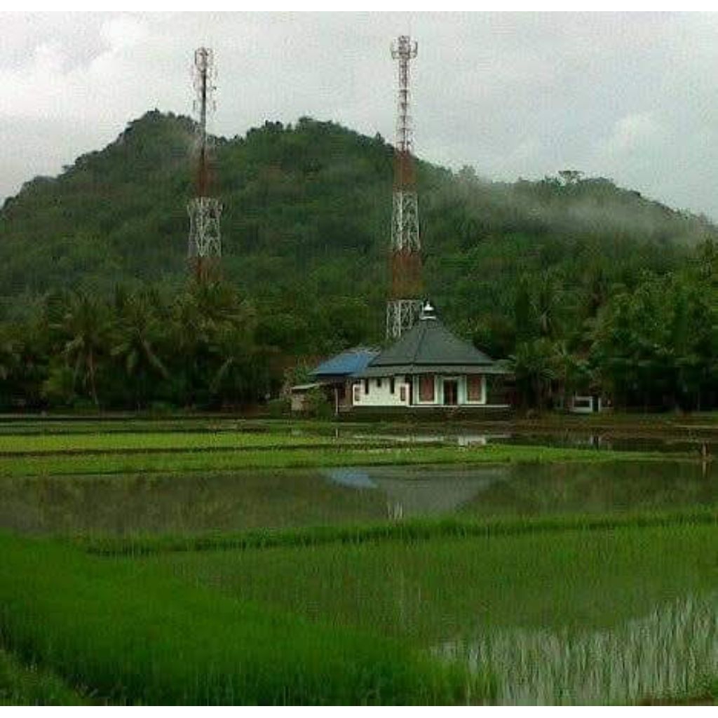 

kacang /benguk sawangan ;500gram