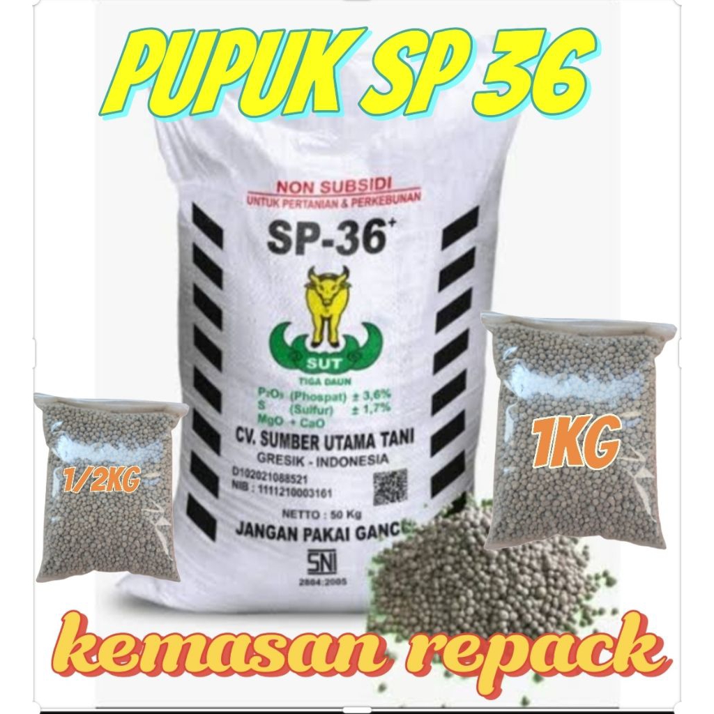 PUPUK SP36 KEMASAN REPACK