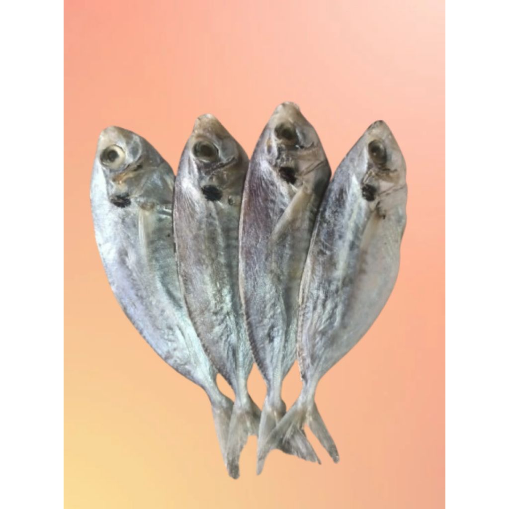 

SELAR ASIN FRESH [ 1 KG ] SIZE BESAR QUALITY SUPER BERSIH DAN HIGIENIS KERING