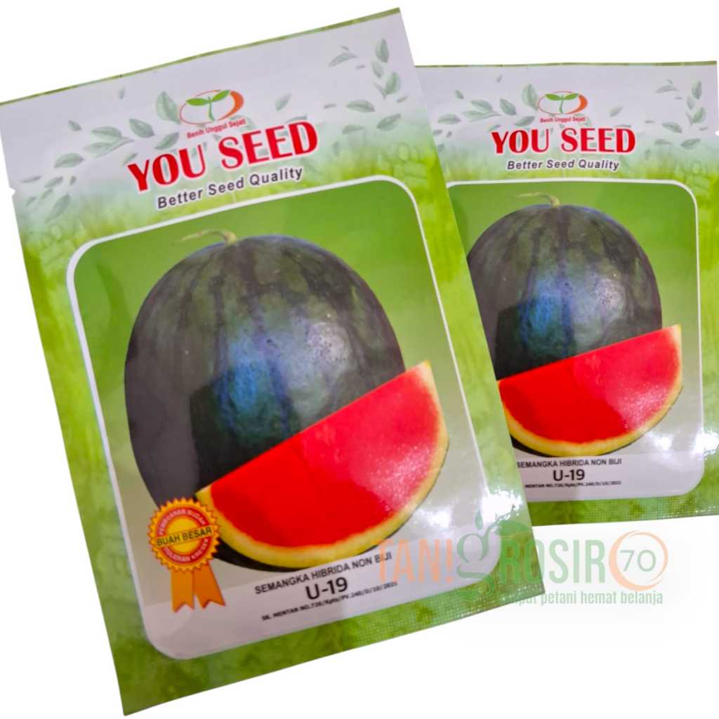 

Benih Semangka Tanpa Biji U-19 F1 isi@20 gr (300 bji) Semangka Non Bji, buah bulat kulit hijau kehitaman sangat manis