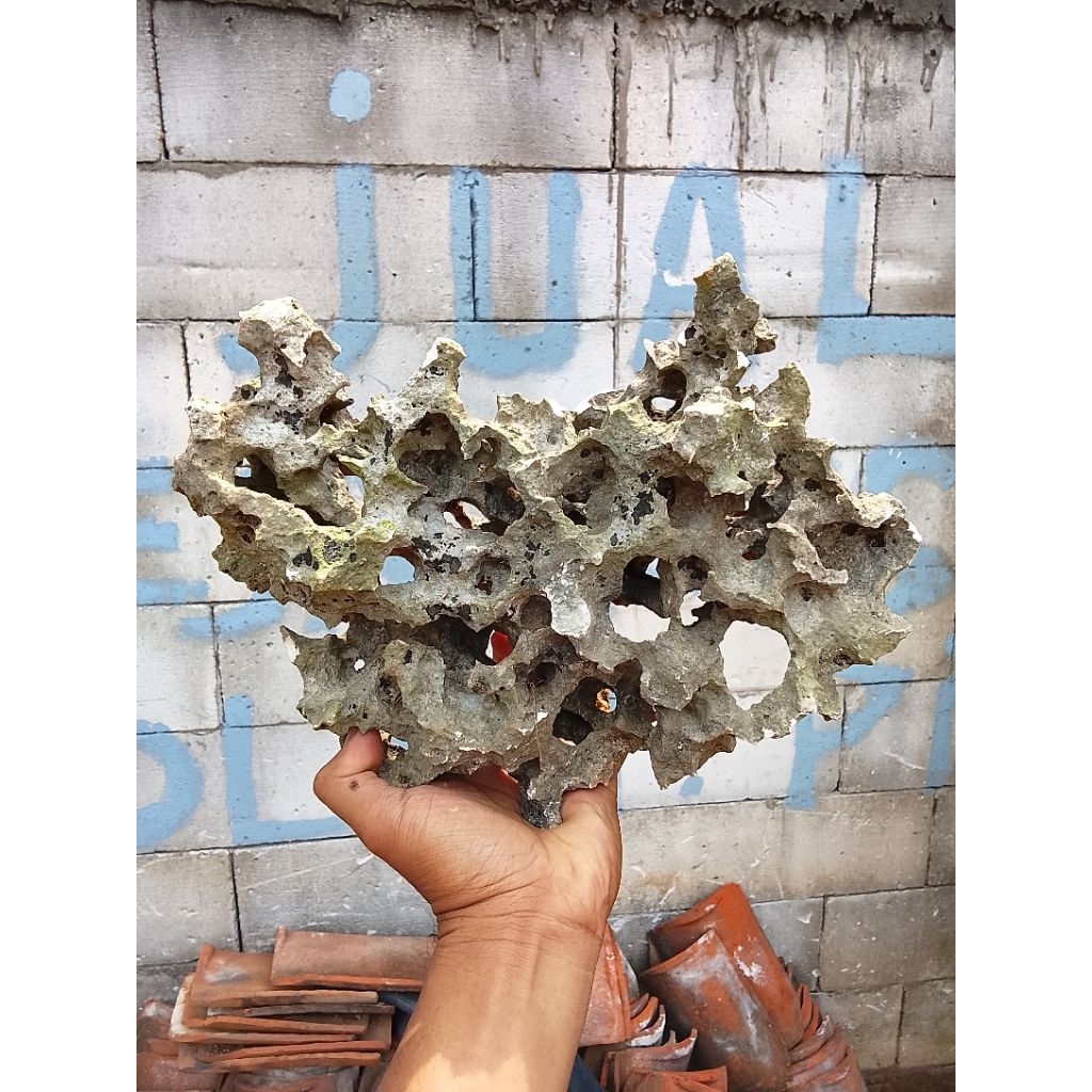 batu karang gunung berkarakter, per kg, batu karang bolong, batu karang gunung berkarakter bolong bo