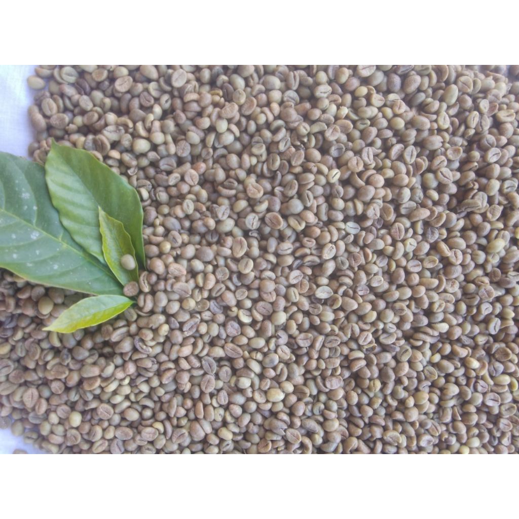 

biji kopi green bean