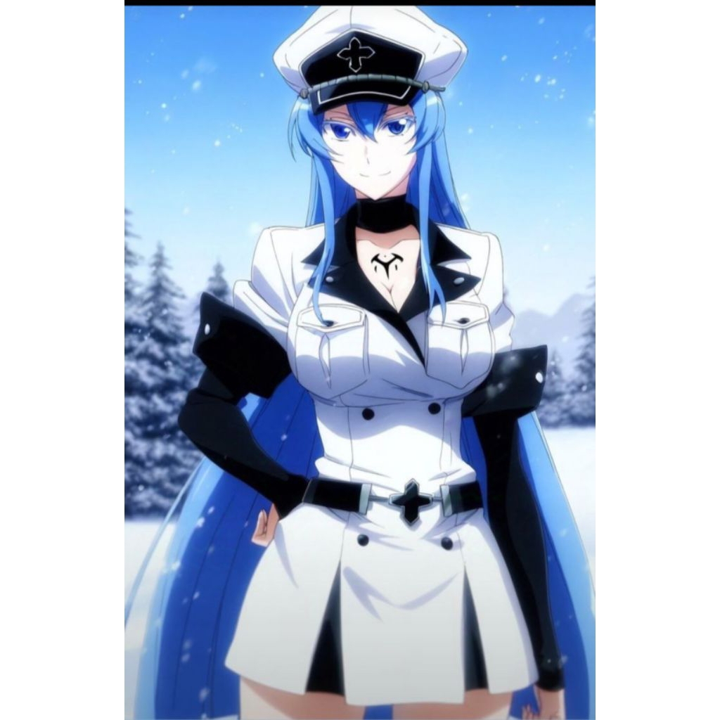 Esdeath Akame  Ga Kill Costume Cosplay