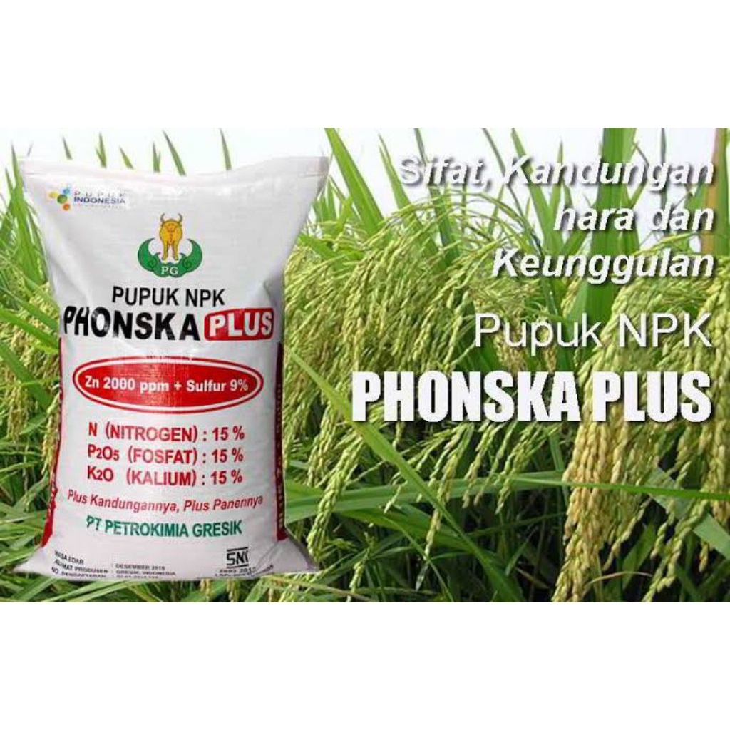 PUPUK NPK PHONSKA PLUS 25 KG