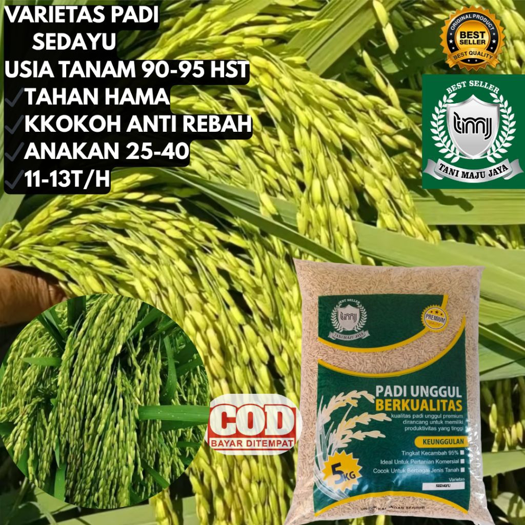 BIBIT PADI BENIH PADI VARIETAS SEDAYU KEMASAN 5KG