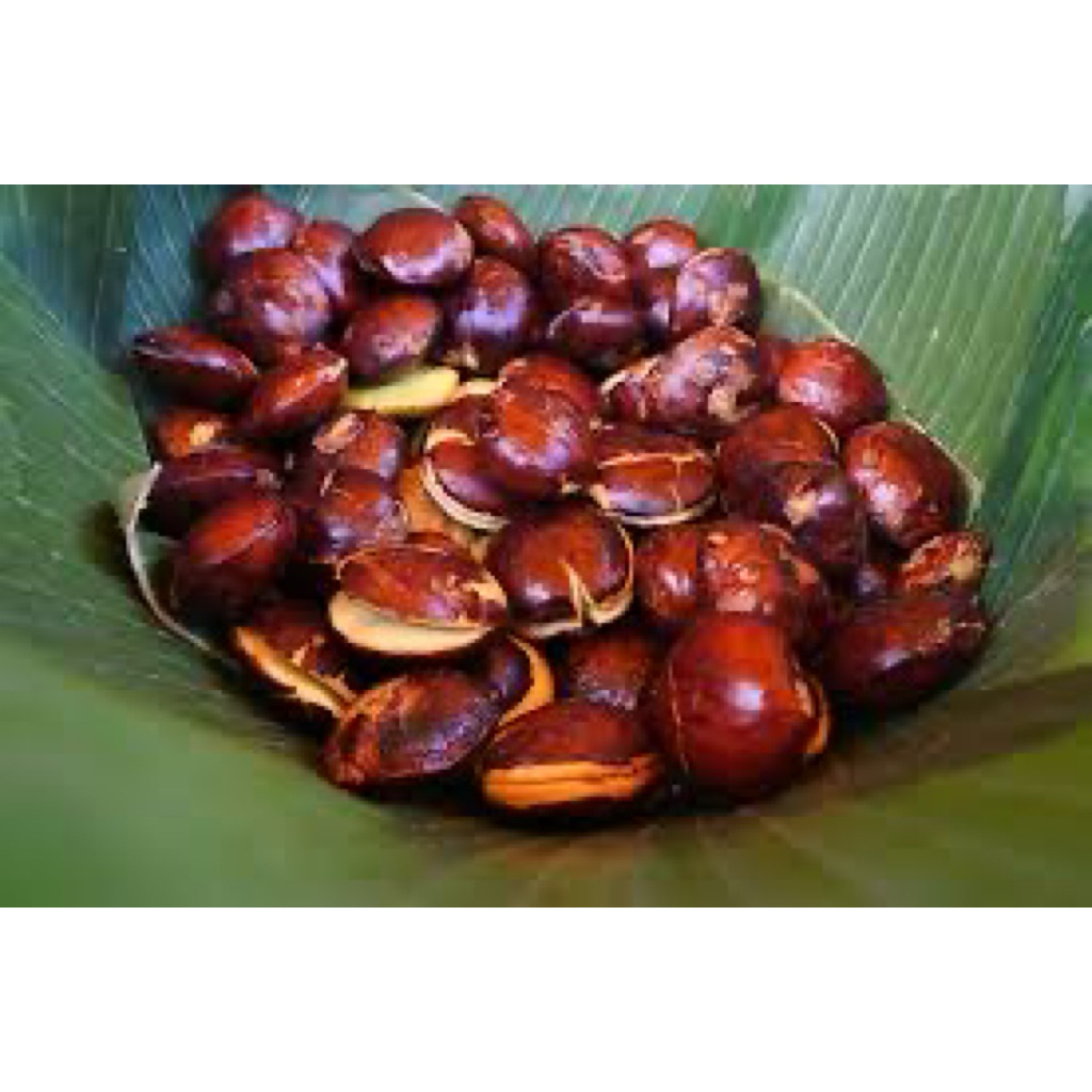 

JENGKOL TUA - 36 FRESH PALEMBANG