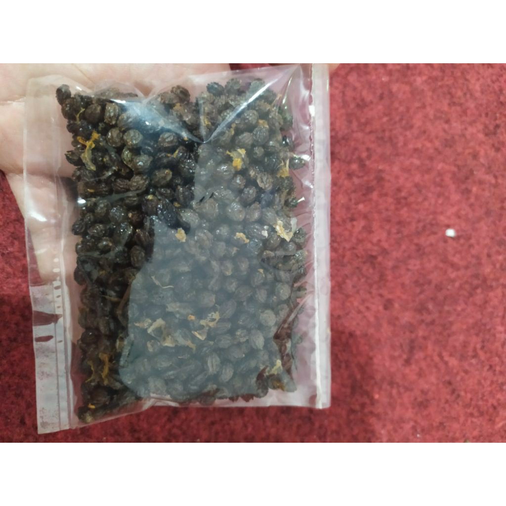 

Biji Pepaya 100 gram