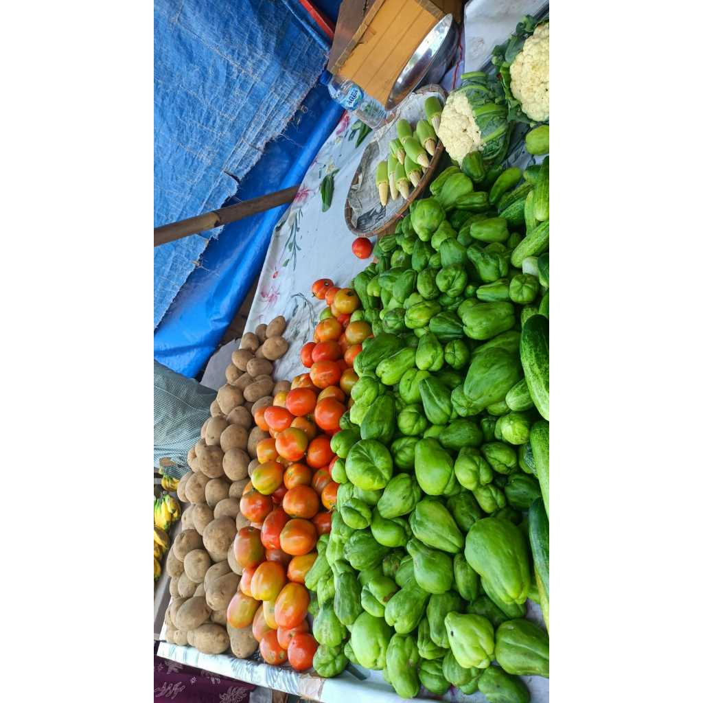 

Sayur Mayur Kentang, Tomat, Gambas ukuran 1KG