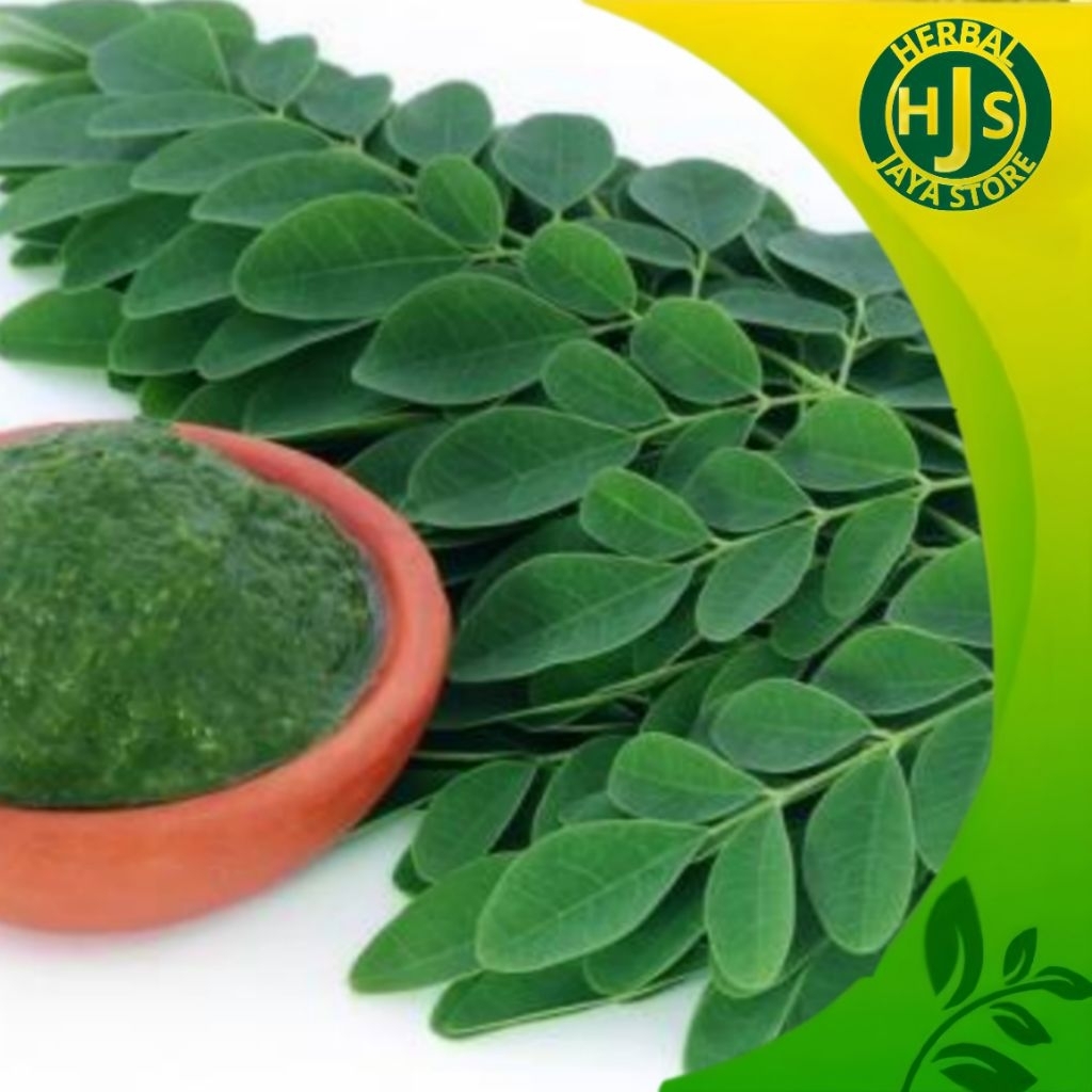 

Daun Kelor Fresh Obat Herbal 1 Ikat