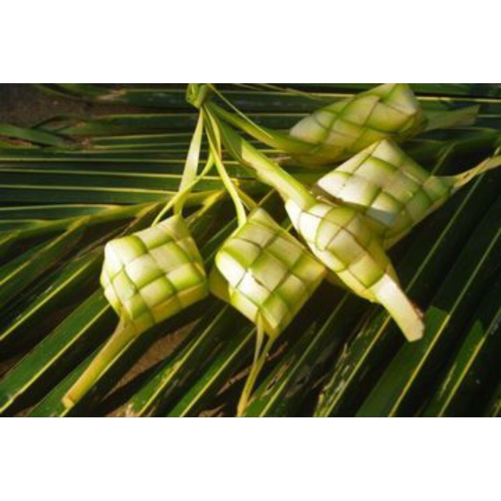 

janur kuning bahan kerajinan per 10 lembar