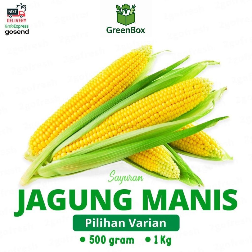 

Jagung Manis Fresh Sweet Corn dengan Pengemasan Aman - Sayuran Segar
