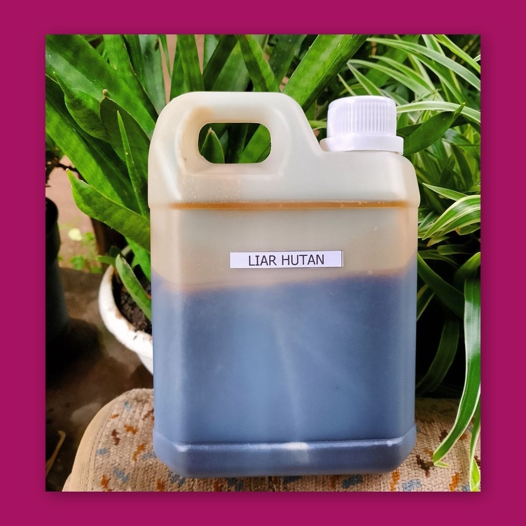 

MADU LIAR HUTAN 500gr MURNI TANPA CAMPURAN HERBAL KESEHATAN