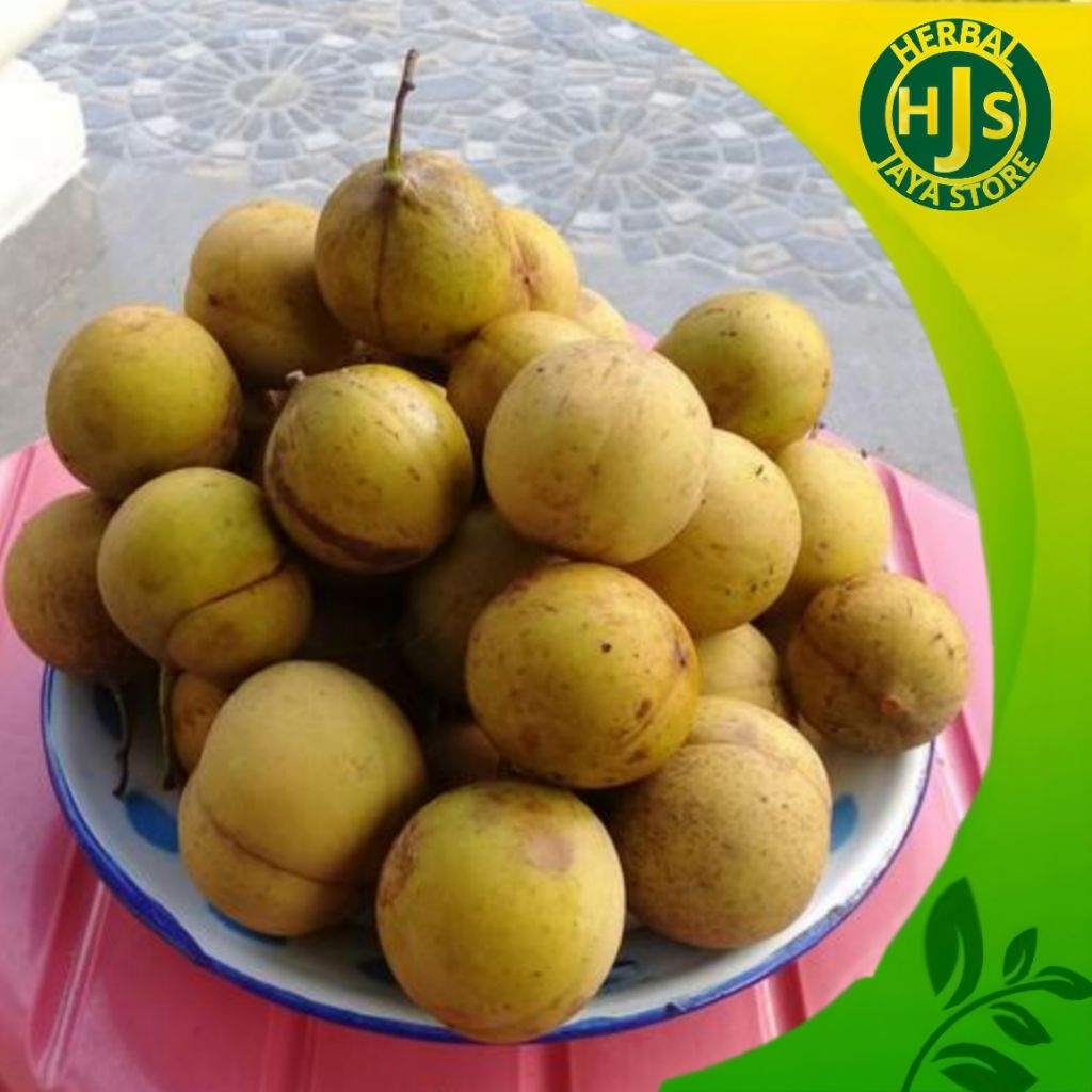 

Buah Pala Muda Fresh di petik Langsung 100% Organik Bulat 1kg