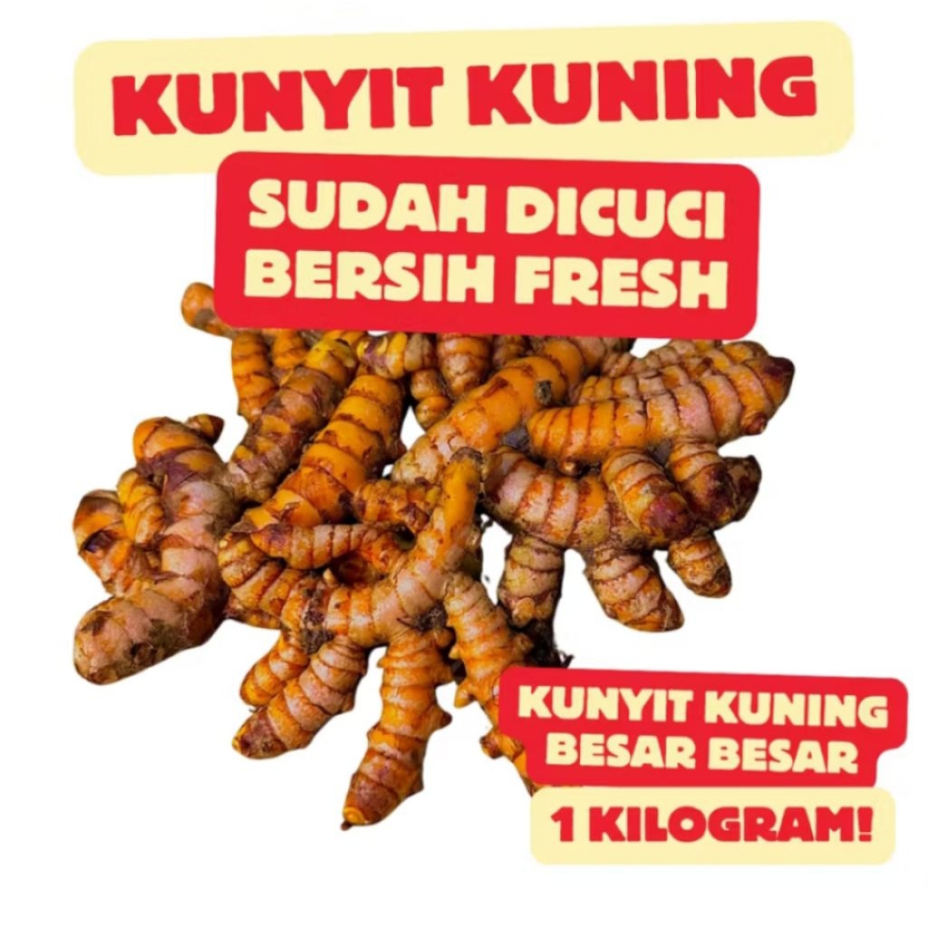 

Kunyit Kuning Seger 1 kg 100% Lokal