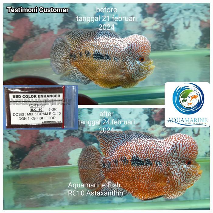 Astaxanthin Astaxantin RC10 5g red warna Pigmen Merah ikan Koi Koki Arowana Louhan Channa Parrot Osc