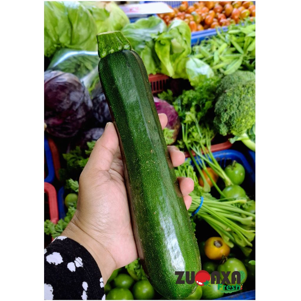 

Zukini /Zucchini / Terong Italia -500gr / 1kg
