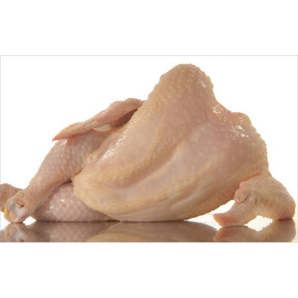 

Ayam Segar KECIL sekitar 900gr