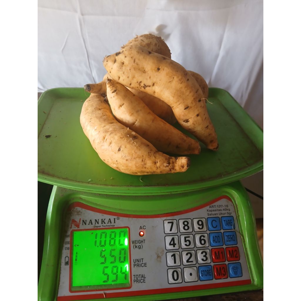 

ubi cilembu madu spek ovenper1kg