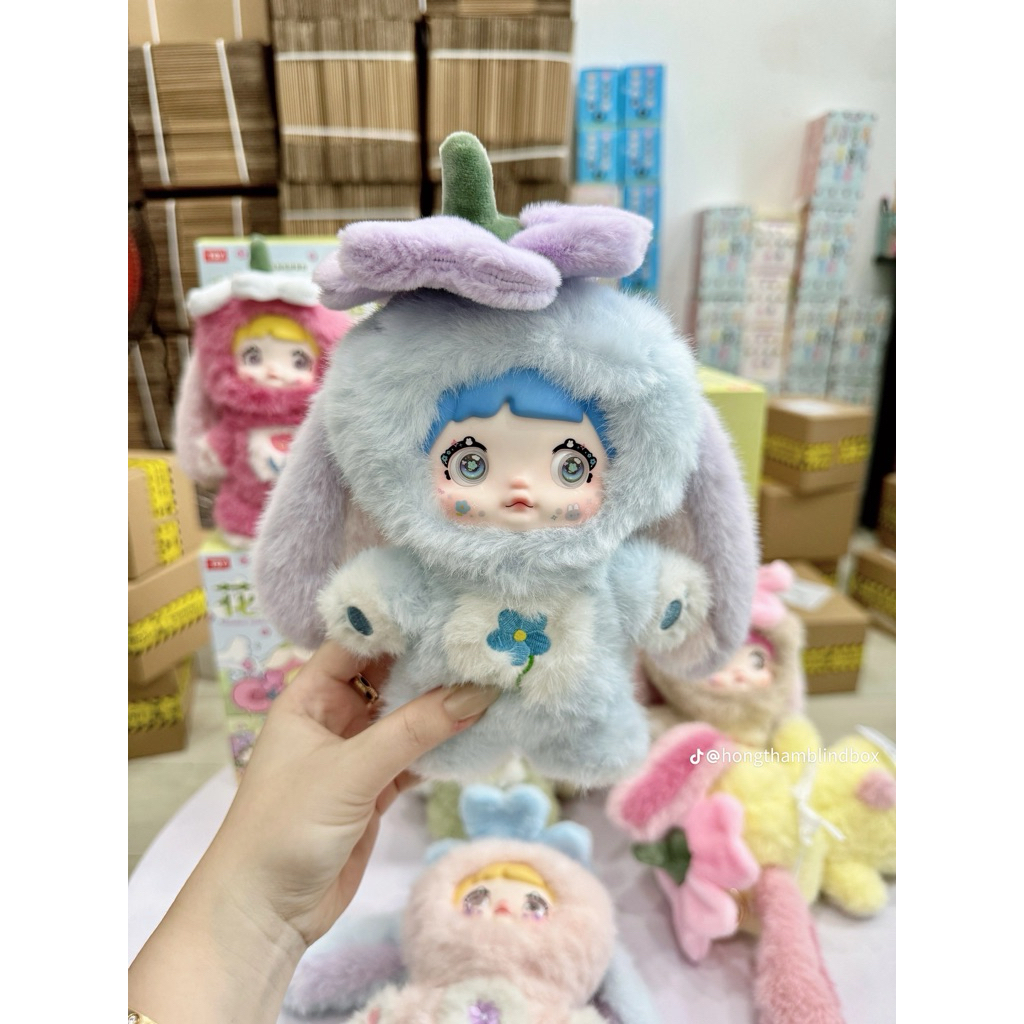 

Bubblewarp dan Kardus