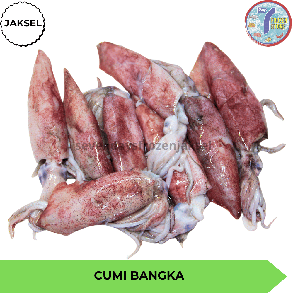 

Cumi Bangka Segar Jumbo Premium Utuh Beku Frozen 500 Gr