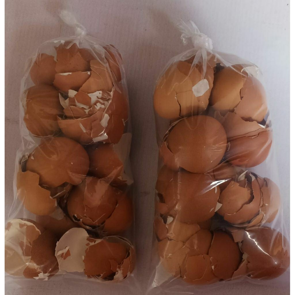 

cangkang kering kulit telor berat 250 gr