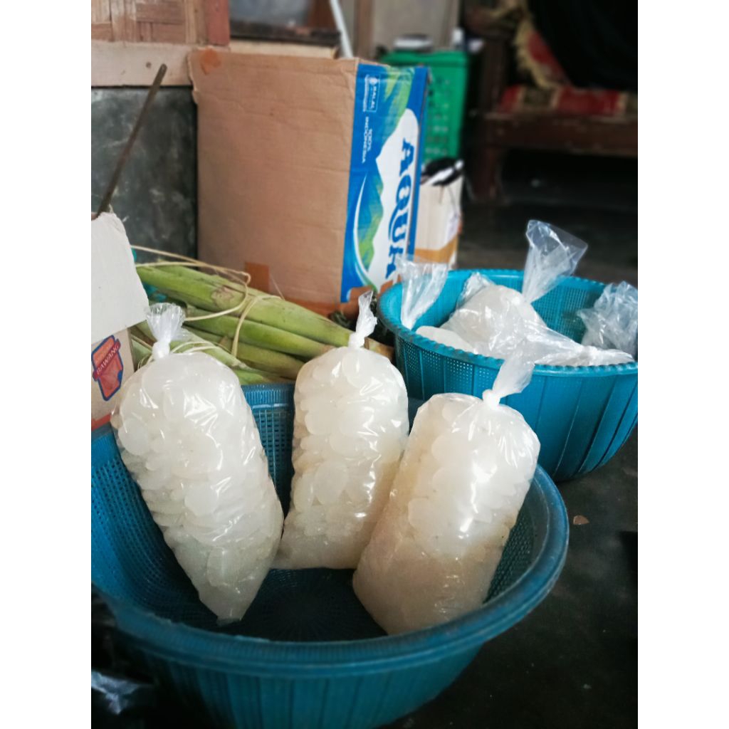 

Kolang kaling fress siap olah ukuran sedang kenyal dan enak 500gram