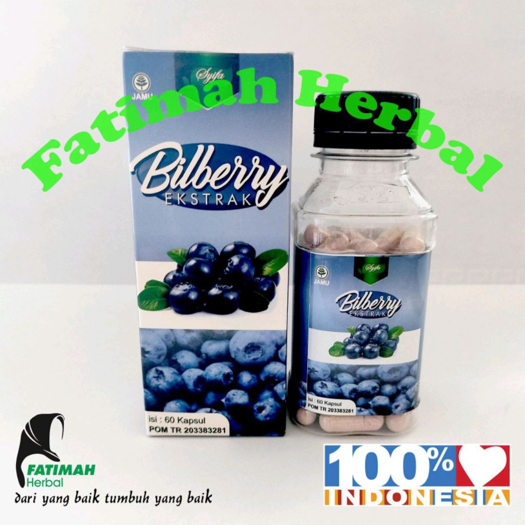 Ekstrak Bilberry 60 kapsul CV. Syifa Herbal Alami