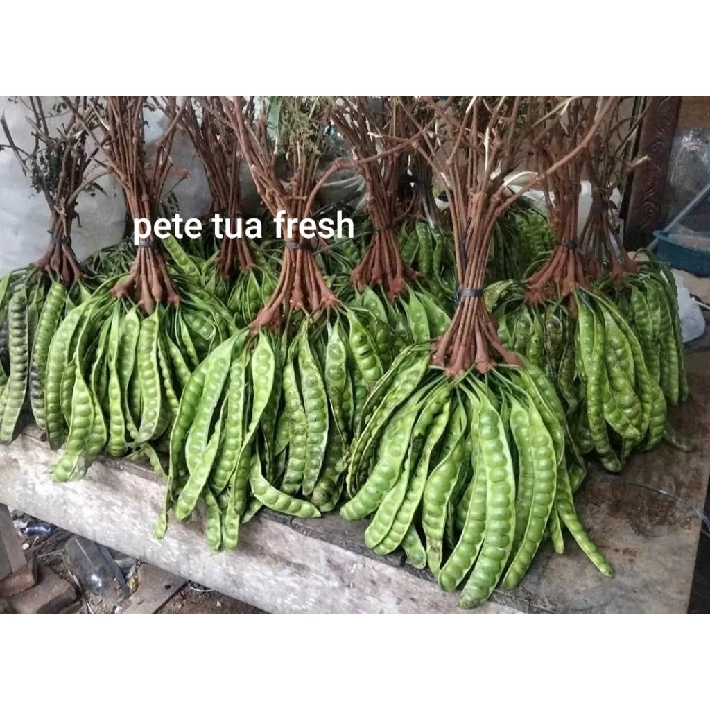 

petai pete tua sedang 10 papan/lonjor