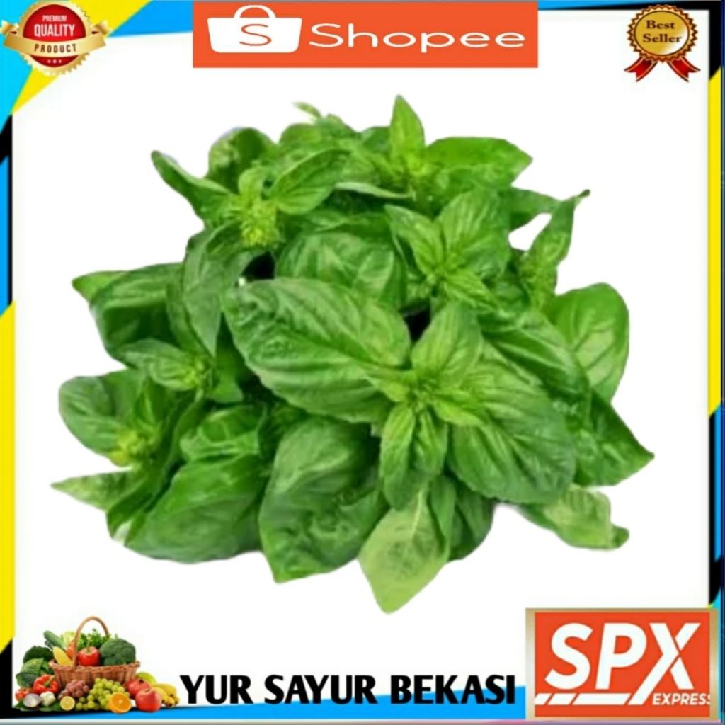 

Daun Kemangi Segarr Per ikat