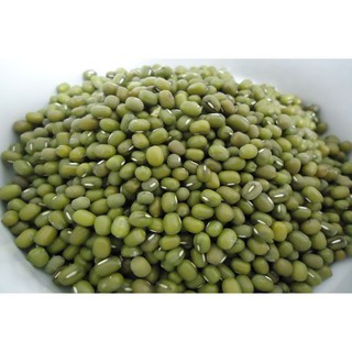 

Kacang Hijau Import Australia 250G