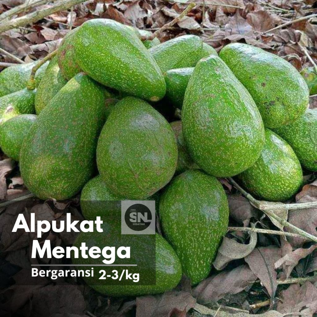 

Alpukat Mentega Super Premium 1kg isi 2-3 Buah