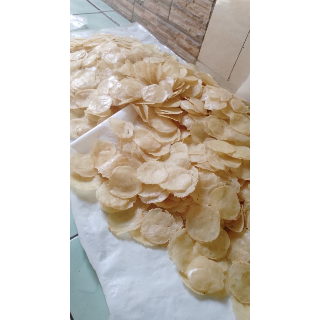 

emping mentah super uk.5biji 500gr