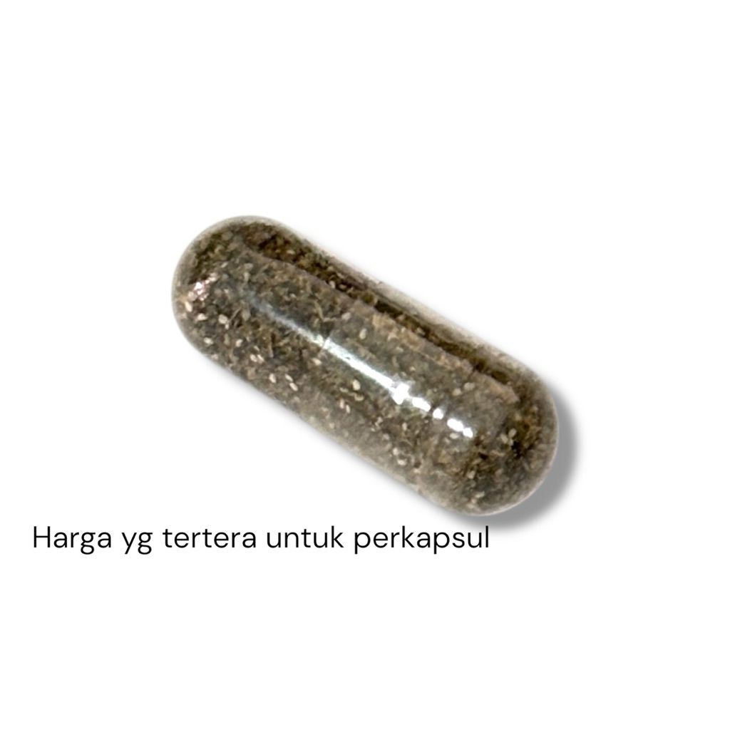 Telur Kutu air Moina macrocopa