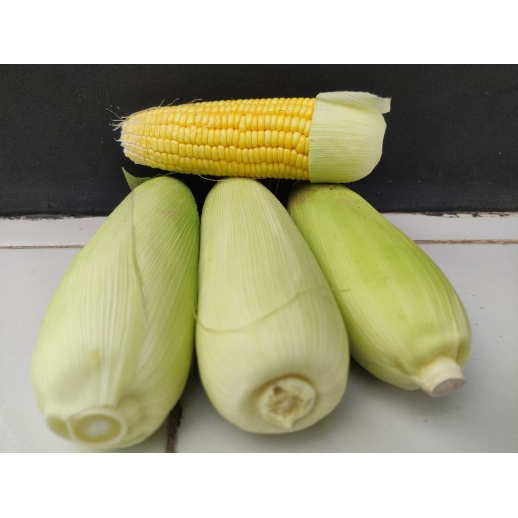 

Jagung manis segar Instan