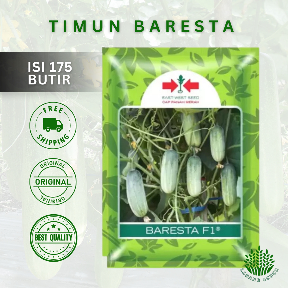 Benih Bibit Timun Mentimun Baby BARESTA F1 175 butir - Cap Panah Merah