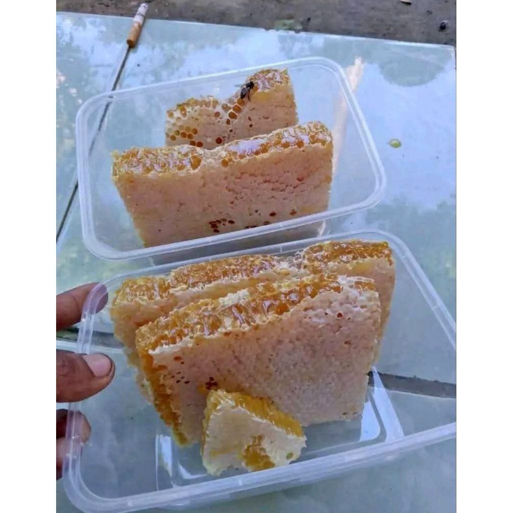 

Madu Hutan Liar Asli / Madu Sarang / Bundling Madu Sarang & Madu Botol Sirup