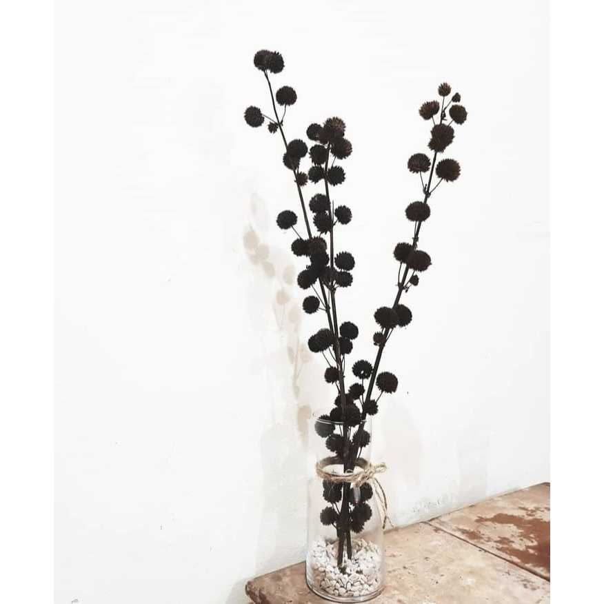 Bunga Pompom Kering dekorasi grosir bunga kering