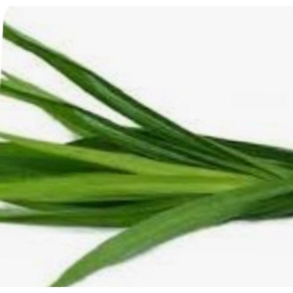 

DAUN PANDAN WANGI HIJAU SEGAR 500 g