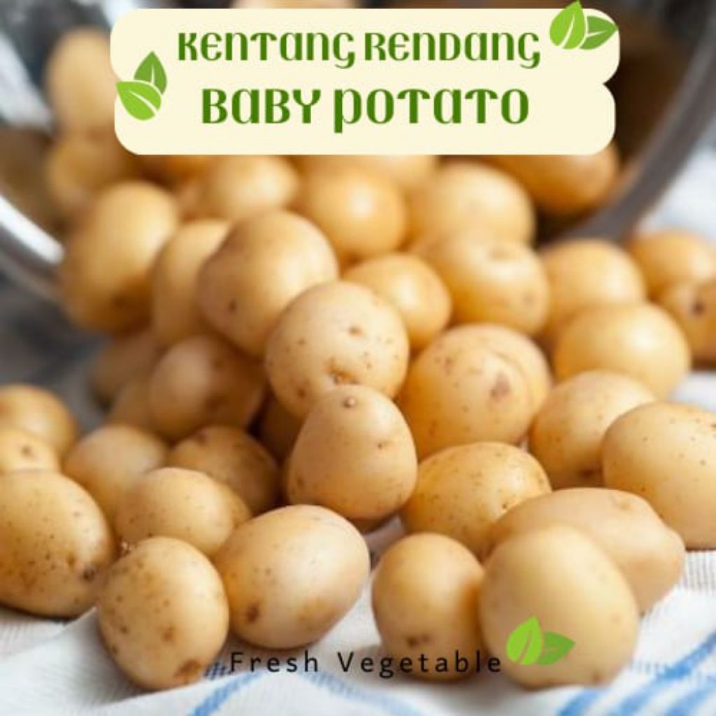 

Kentang Rendang 1kg / baby potato / kentang kecil