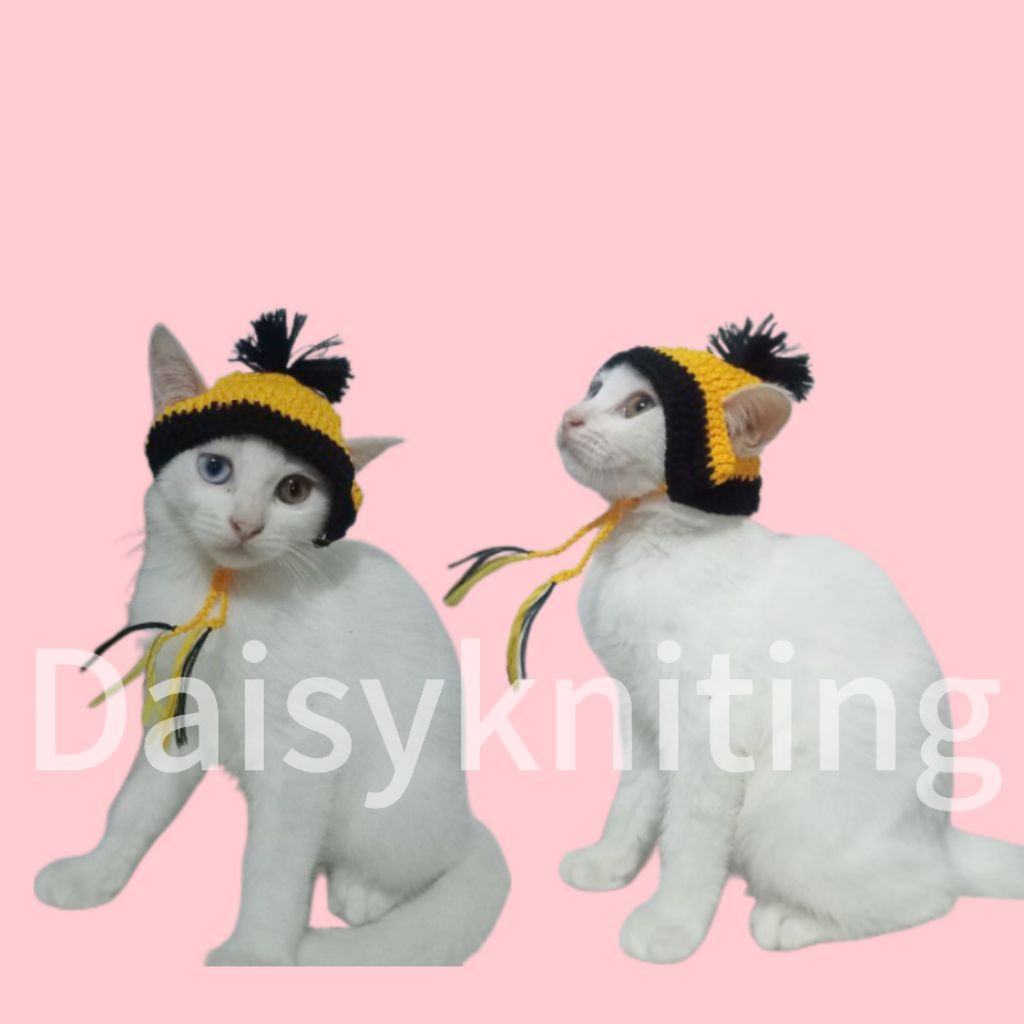 topi rajut kucing / topi rajut / topi kucing / topi hewan