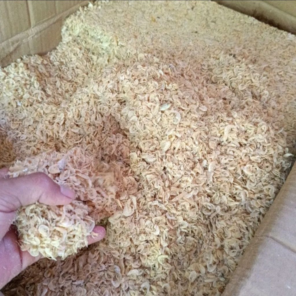 

ikan asin udang rebon halus kering kemasan termurah best seller