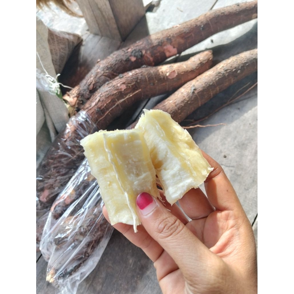 

Singkong meduk inukk 1KG